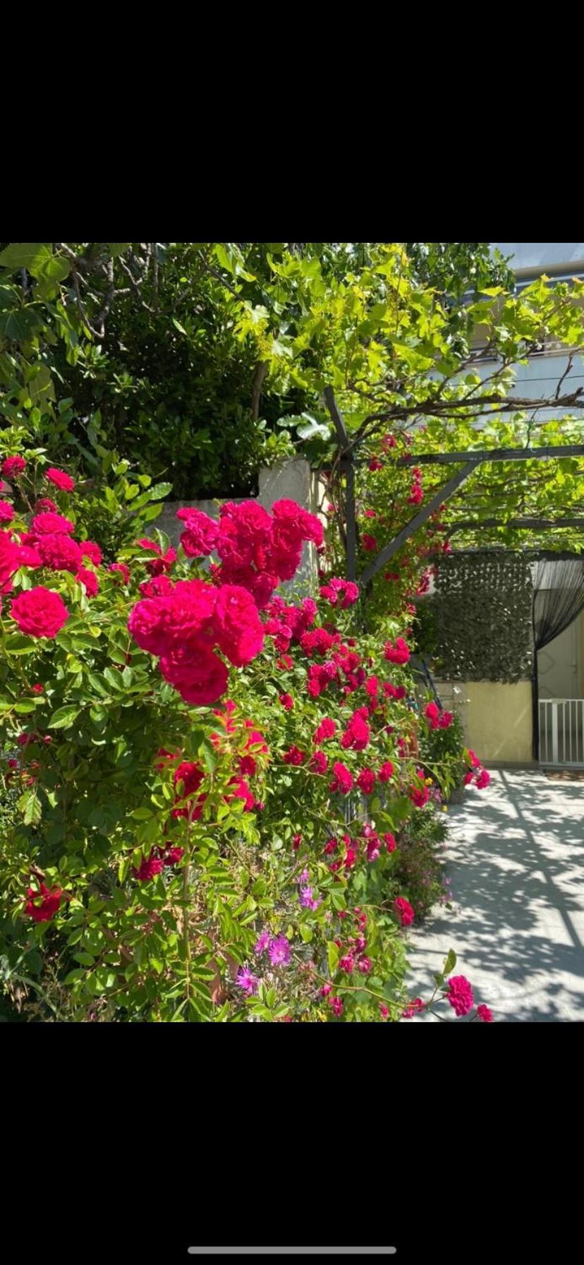 Apartmán Skenderi Crikvenica