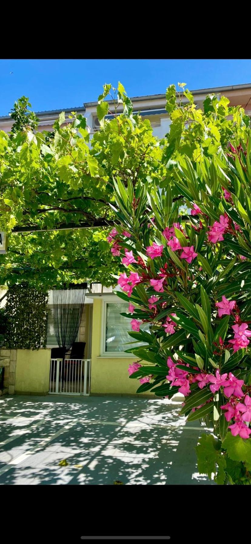 Skenderi Crikvenica